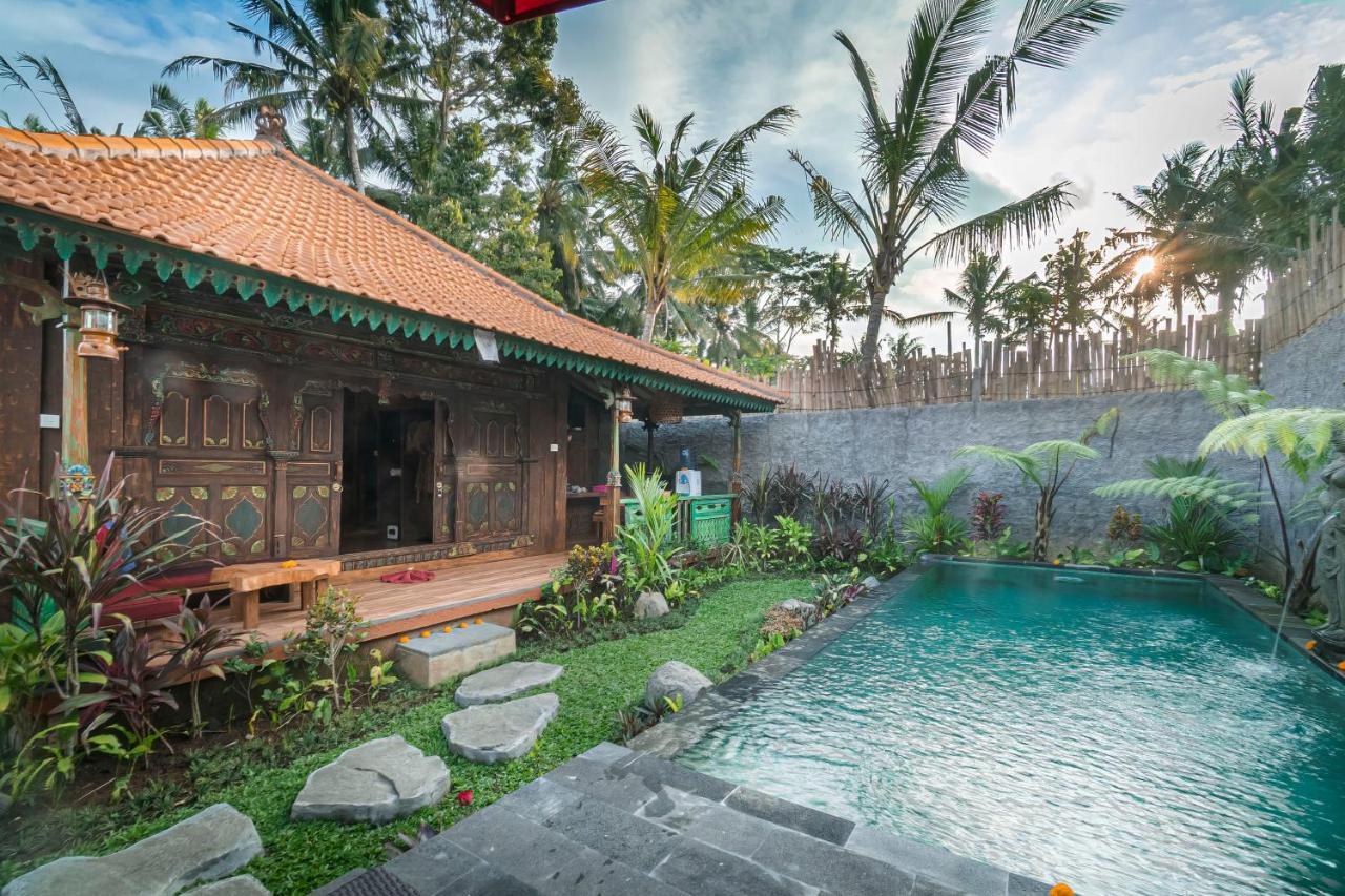 The Forest Batu Kurung Ubud Bagian luar foto